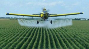 “Uso de agrotóxicos no Brasil está entre os maiores do mundo, aponta estudo