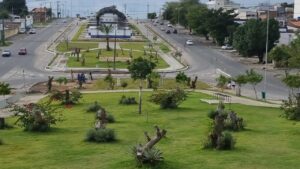 Campina e Cabedelo são reconhecidas pelo segundo ano seguido como Cidade Árvore do Mundo