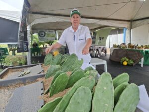 Empresa de pesquisa apresenta tecnologias inovadoras à agricultura familiar na 56ª Expapi