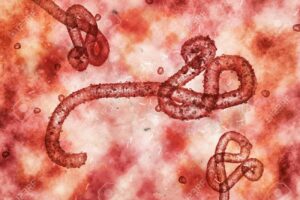 Turista vindo de Uganda sob suspeita de Ebola testa positivo para malária no RJ