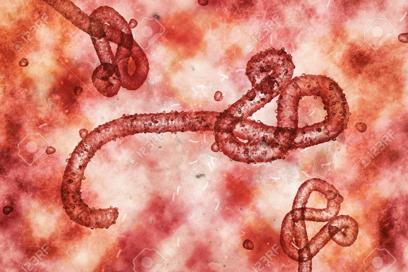 Turista vindo de Uganda sob suspeita de Ebola testa positivo para malária no RJ