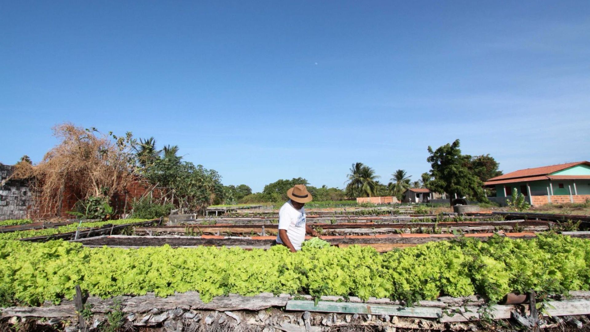 Secretaria orienta agricultores de Campina Grande sobre acesso a linhas de crédito rural