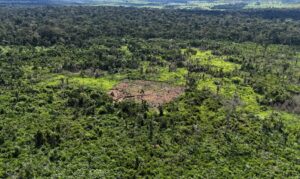 Operação ambiental autua quatro cidades da Paraíba e aplica R$ 2 milhões em multas